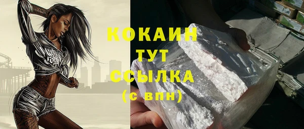 ECSTASY Богородицк